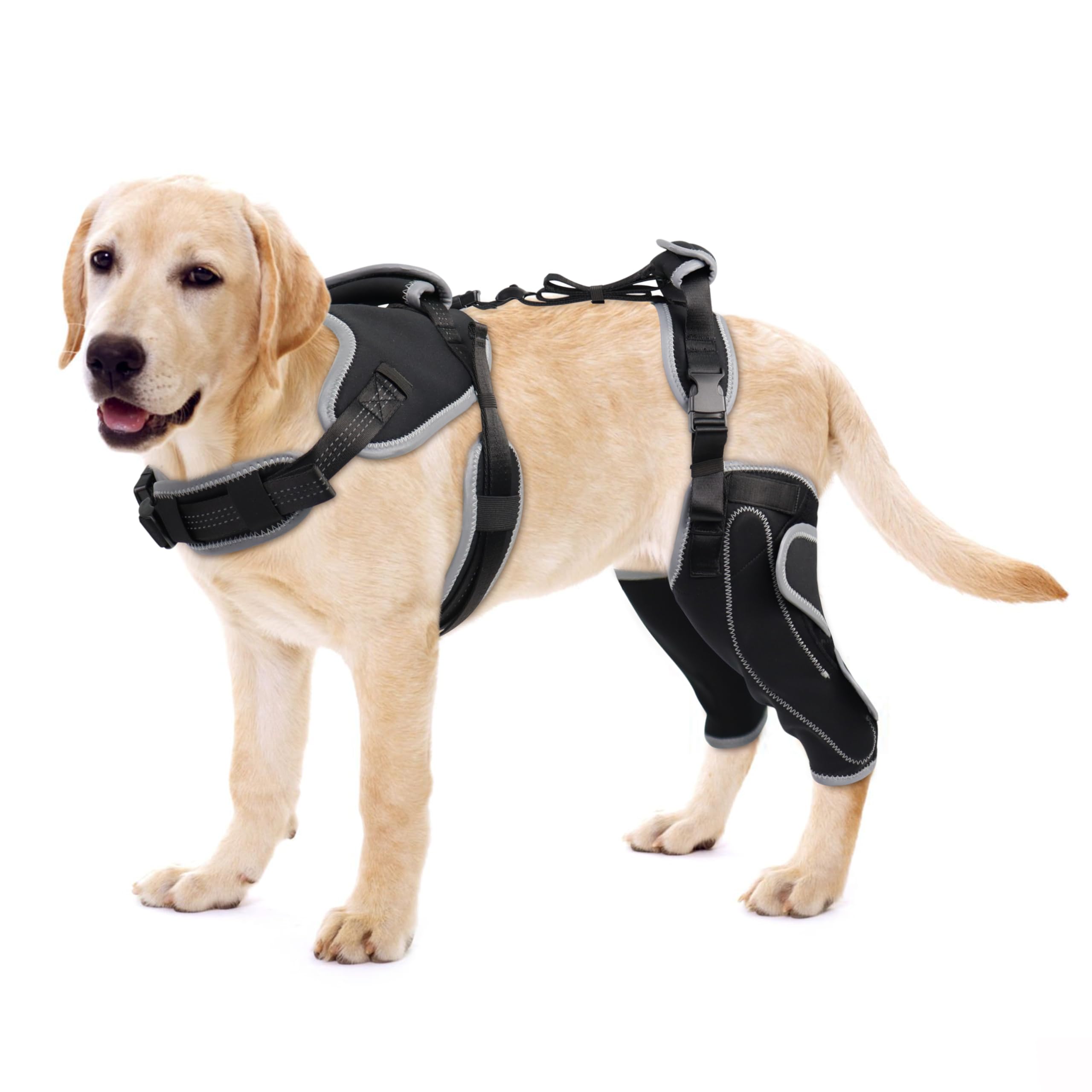 LISPOO Dog Knee Brace for Torn ACL/CCL Hind Leg,Adjustable Support With Sufficient Wrapping and Support & Luxating Patella,Non-Slip Joint Brace,Pain Relief&Better Recovery-Both Leg-Upgraded/M