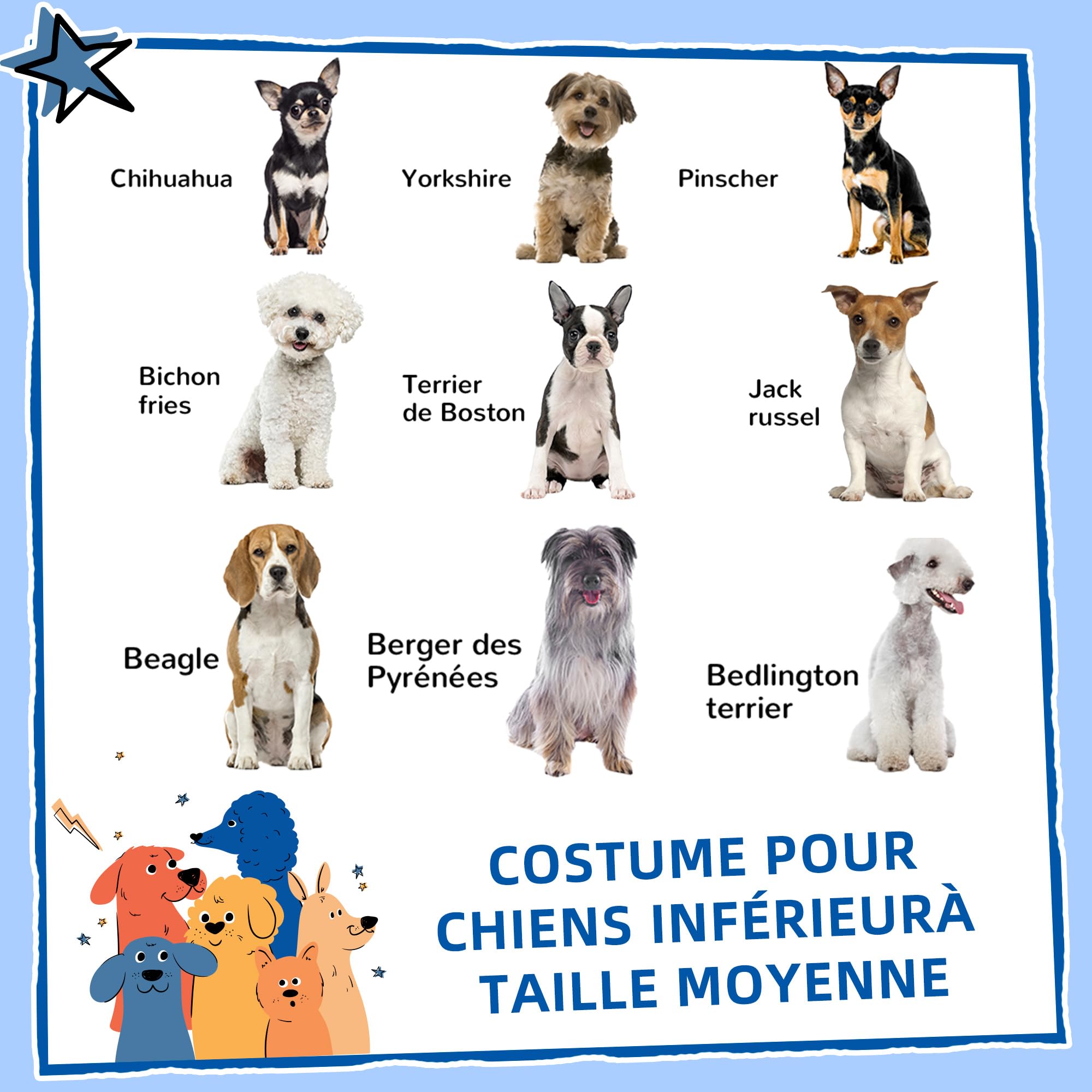 PawHut Niche d'extérieur en PP Blanc pour Chiens de Petite et Moyenne Taille - 65 x 75.7 x 63 cm | PP Imperméable, Toit en Pente, Porte Avant Ouverte, Ouverture d'Aération au-Dessus