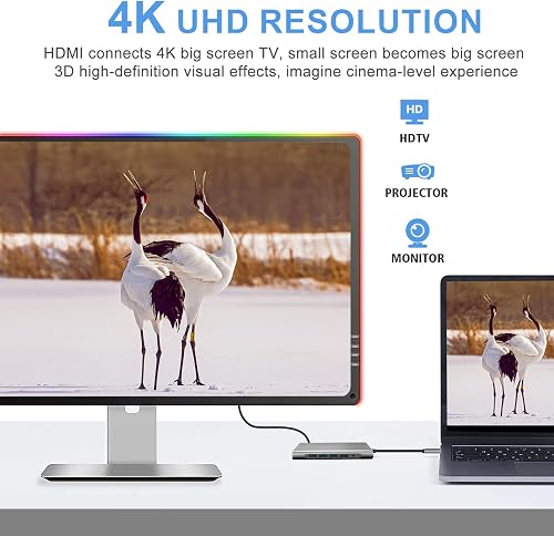 SZPACMATE, Station d'accueil 12 en 1 avec HDMI 4K, VGA, 3*USB 2.0, USB3.0, USB C Data, PD3.0, Port Ethernet RJ45, SD/TF, 3.5mm AUX, Compatible avec MacBook Pro/Air, Plus de Périphériques Type C - 3