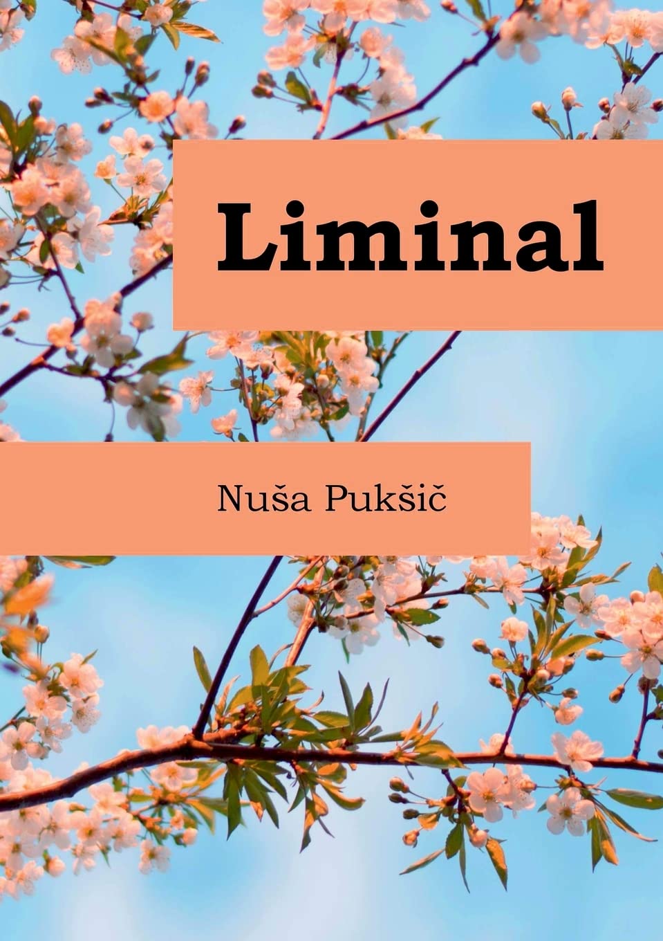 Liminal