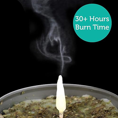 Miniatura 7 de Soul Sticks Smudge Kit de 3 piezas Sticks de eucalipto de 4 pulgadas de salvia, vela de mancha, espray de manchas para limpieza, meditación,