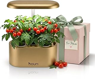 Nouri 5-Pod Smart Garden mit App | mit Basilikum Alter Sorten | Hydroponic System | Smart Garden für Indoor Garten & Indoor Kräutergarten | LED-Pflanzenlampe | Einfache Bedienung