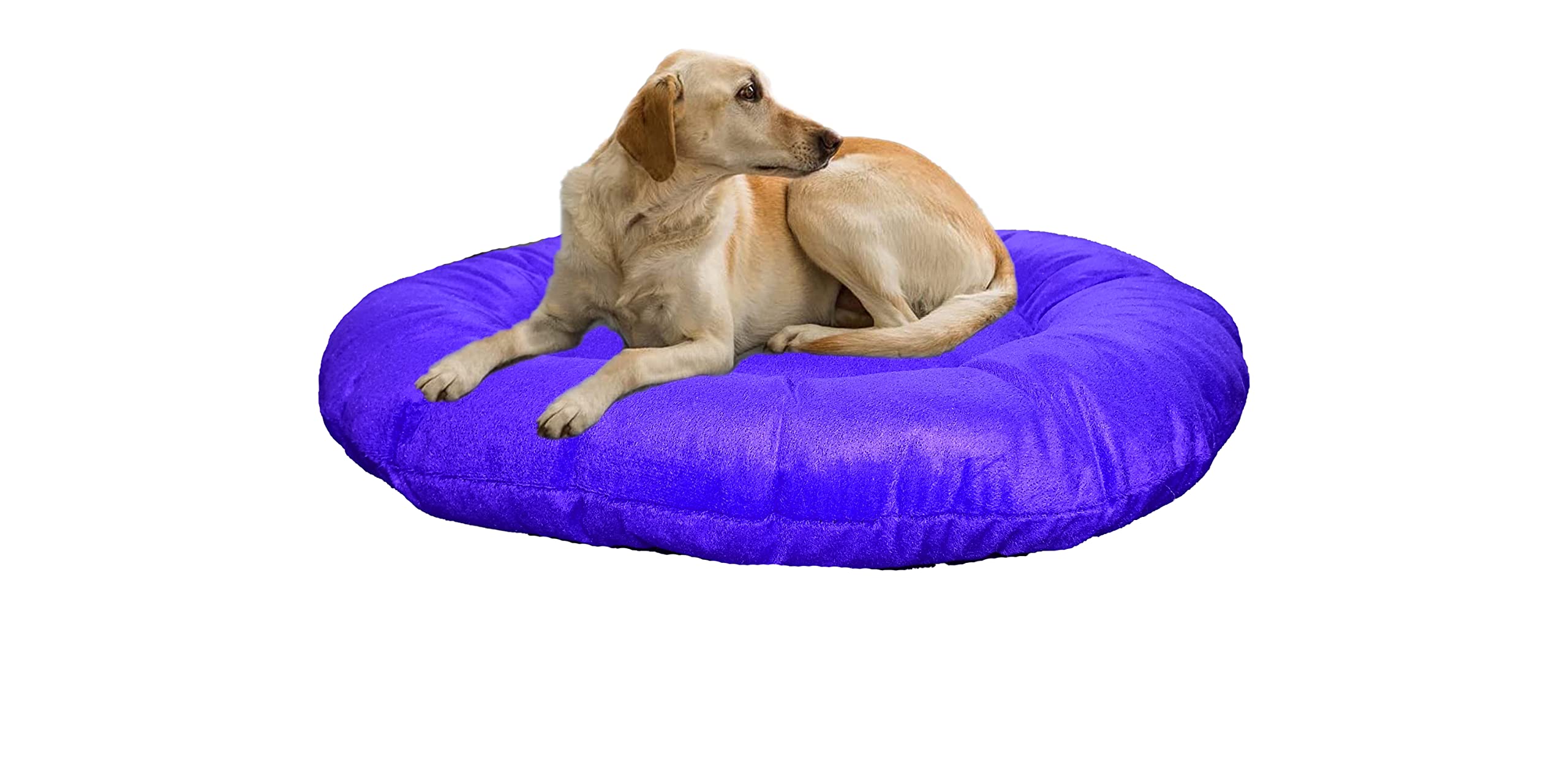 Furry Land Large Dog Bed Pillow for Large Size Dog Round Shape Green Color for Sofa, car, Floor and Multipurpose use Animal, Puppy, Kitten and Pet Pillow Mat (M, Blue) (B0BZLKSN7W) Amazon Price History, Amazon Price Tracker