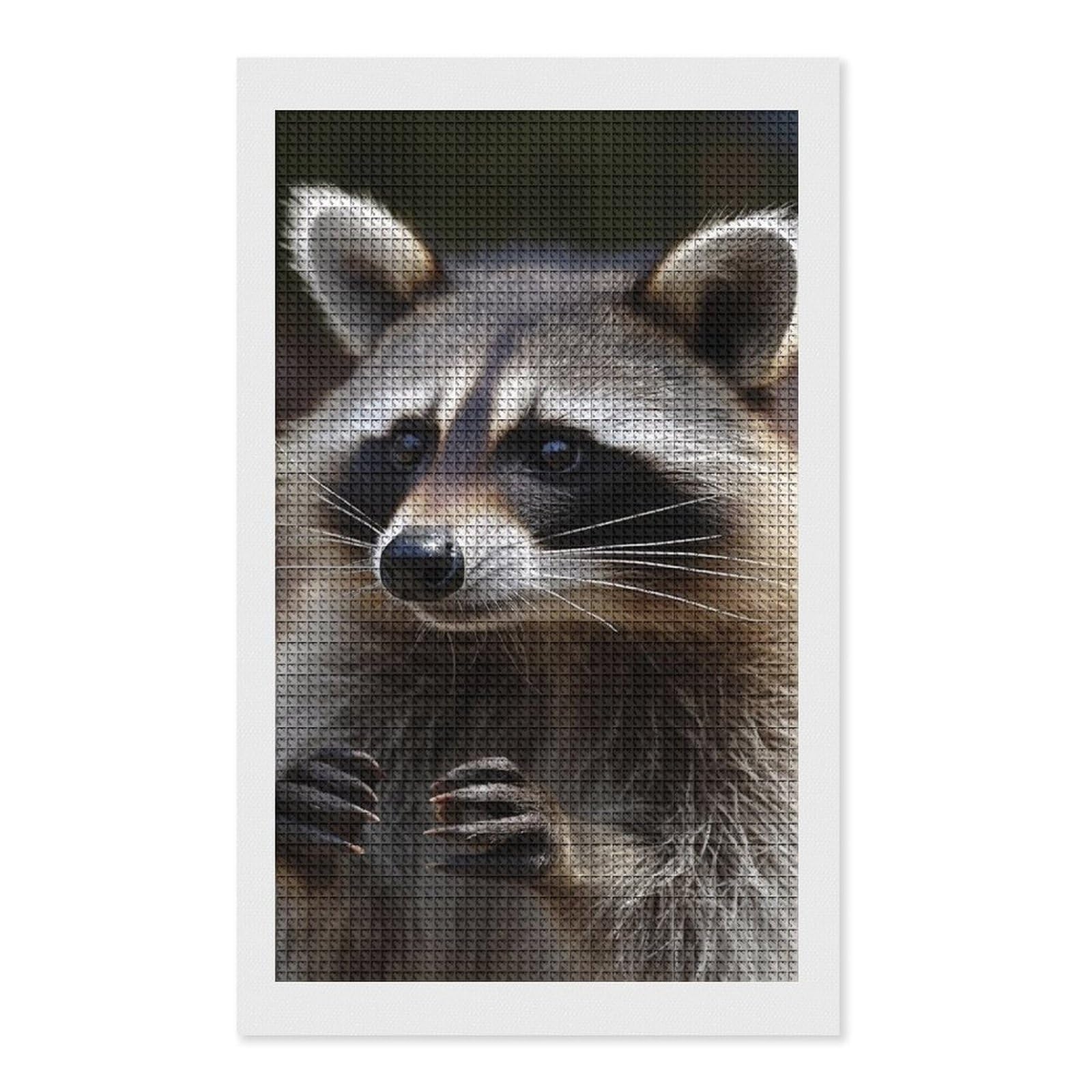 Raccoon Diamond Art Kits for Adults, DIY 5D Diamonds Painting Kits for Beginner, Round Full Drill Diamond Dots Painting, 12"x20" Diamonds Pictures Gem Art and Crafts Wall Decor