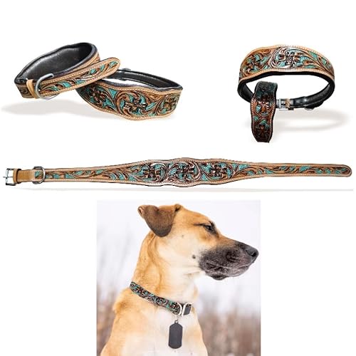 Majestic Ally Collar de perro de cuero genuino con ajuste acolchado ajustable para caminar