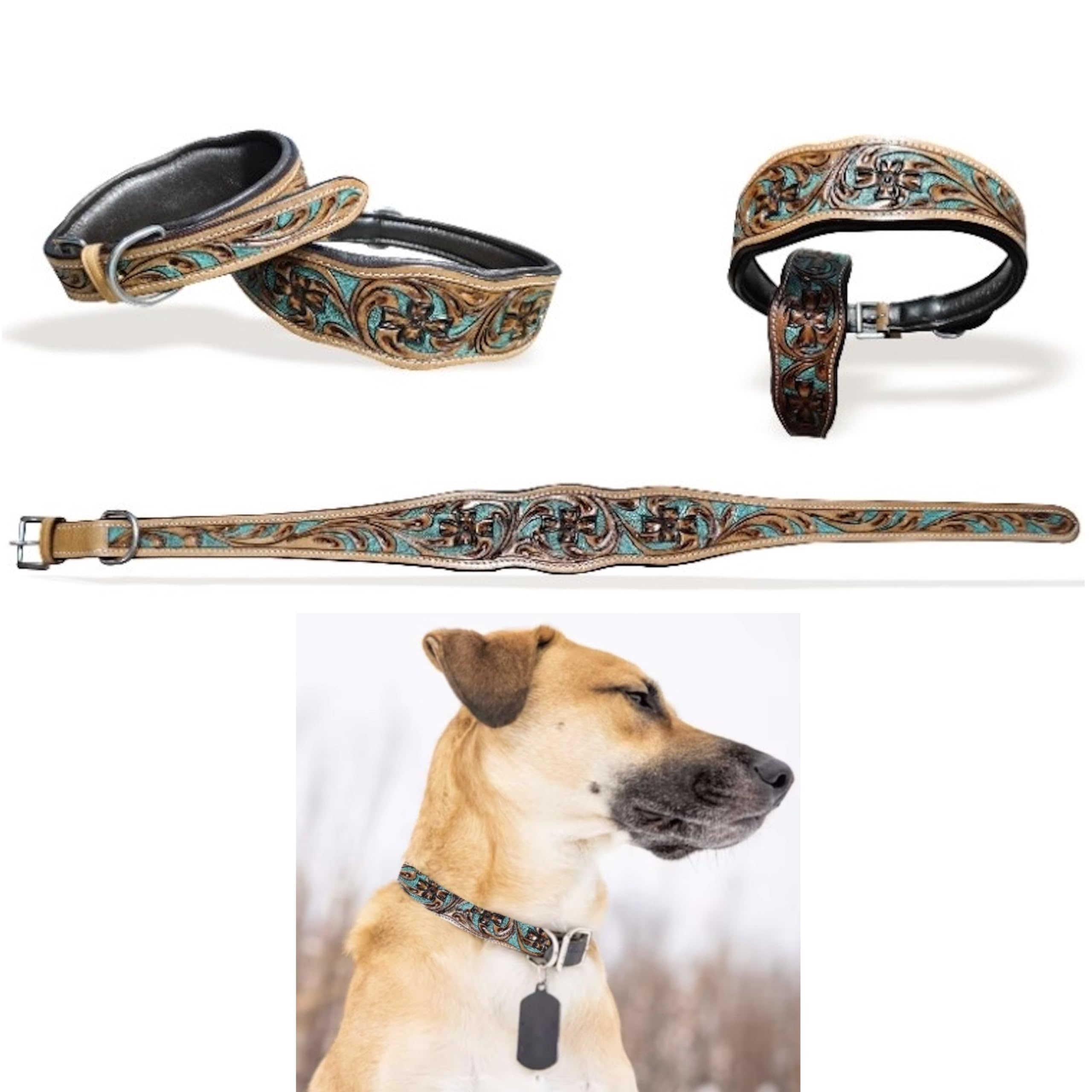 Majestic Ally Leather Dog Collar with Adjustable, Padded Fit for Walking, Hiking, and Running, Designer Western Wear for Puppies, Fancy Colors (