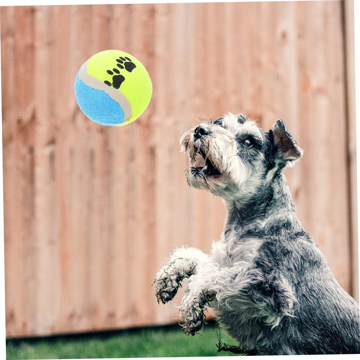 16pcs Interactive Rubber Dog Balls Puppy Chew 7cm Diameter Portable Outdoor Activity Training for Dogs Random Color