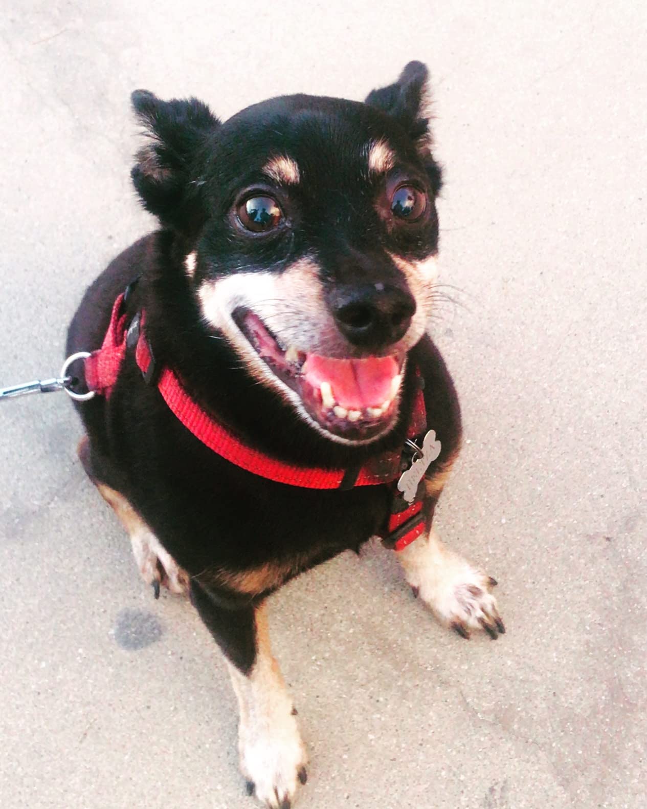 Couldn't Put the Book Down