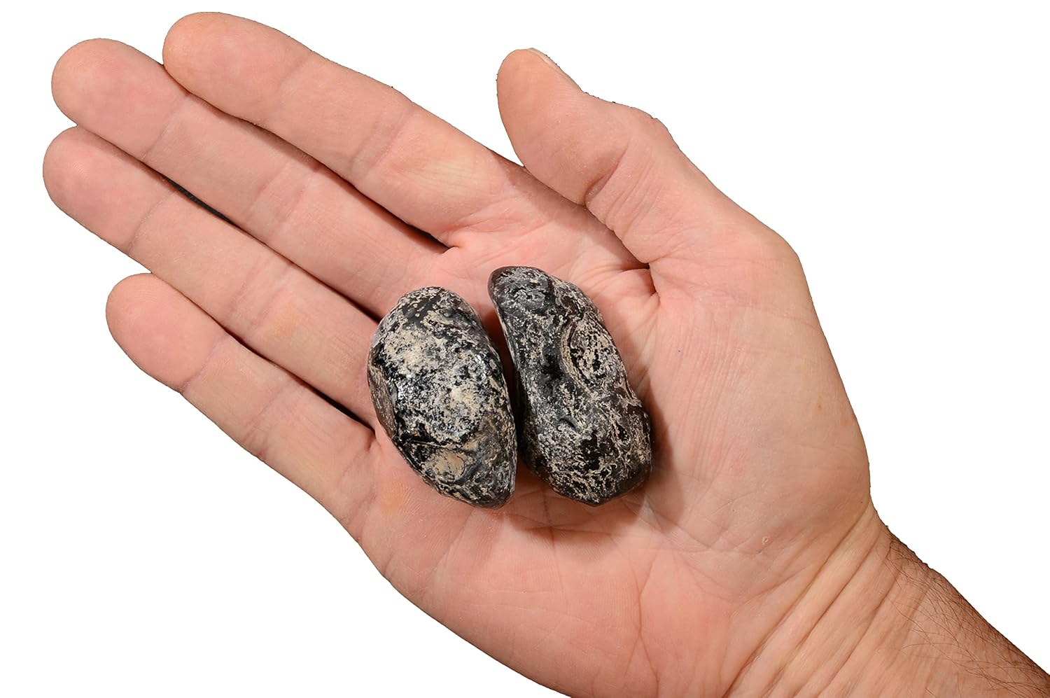 Rare Apache Tear 1 7/8" Set of 2 Pieces Rough Root Chakra | Their strong energy works within the base or root chakra, where it will move excess energy down into the earth chakra.