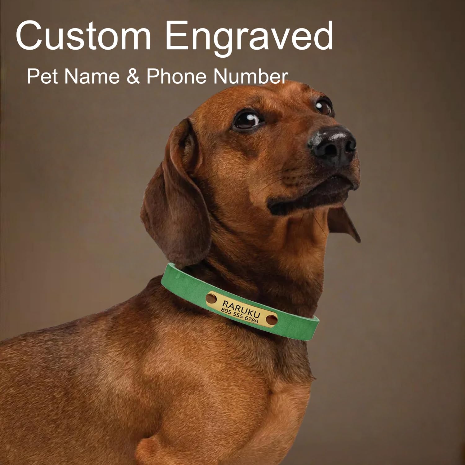 TSD Genuine Leather Dog Collar Personalized Custom Engraved with Pet Name & Phone Number Adjustable Collars for Small Medium Large Dogs Cats Fashion Comfortable