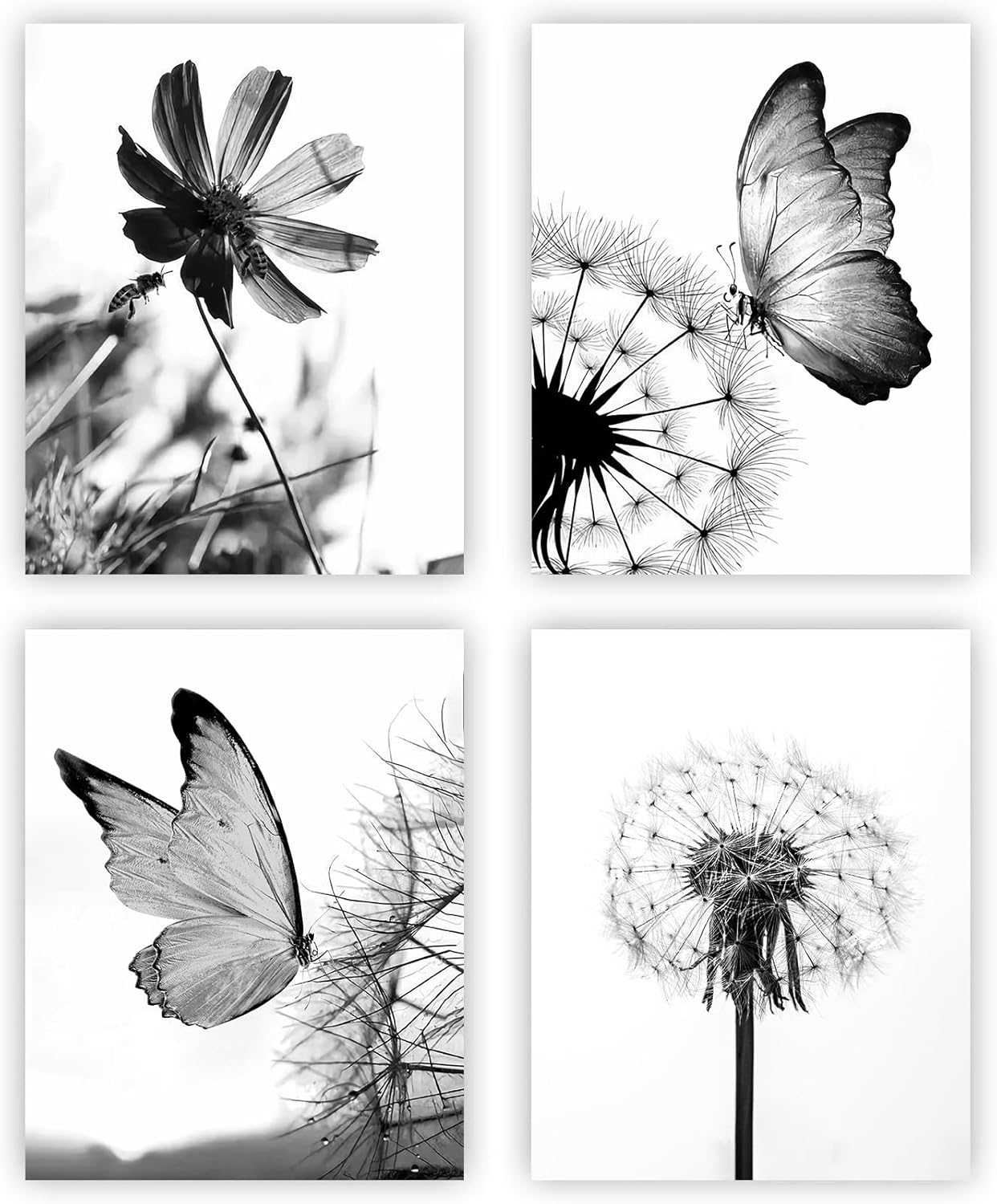 Black and White Flower Plant Butterfly Wall Art, Rustic Wall Art for Bedroom Farmhouse Decor, Dandelion Butterfly Canvas Prints, Set of 4 (8x10 inches Framed)