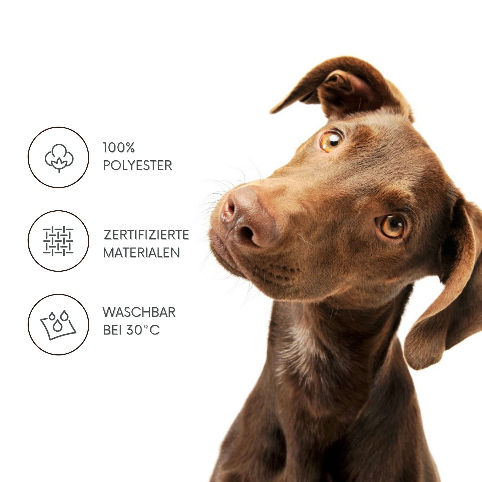 MSS e.K. Hundematte Leo 60 x 100 cm in Anthrazit Hundekorb mit abnehmbaren Polyester-Bezug und weicher Polsterung waschbares Hundekissen 100 x 60 x 6 cm Hundematte Hundesofa Welpenbett