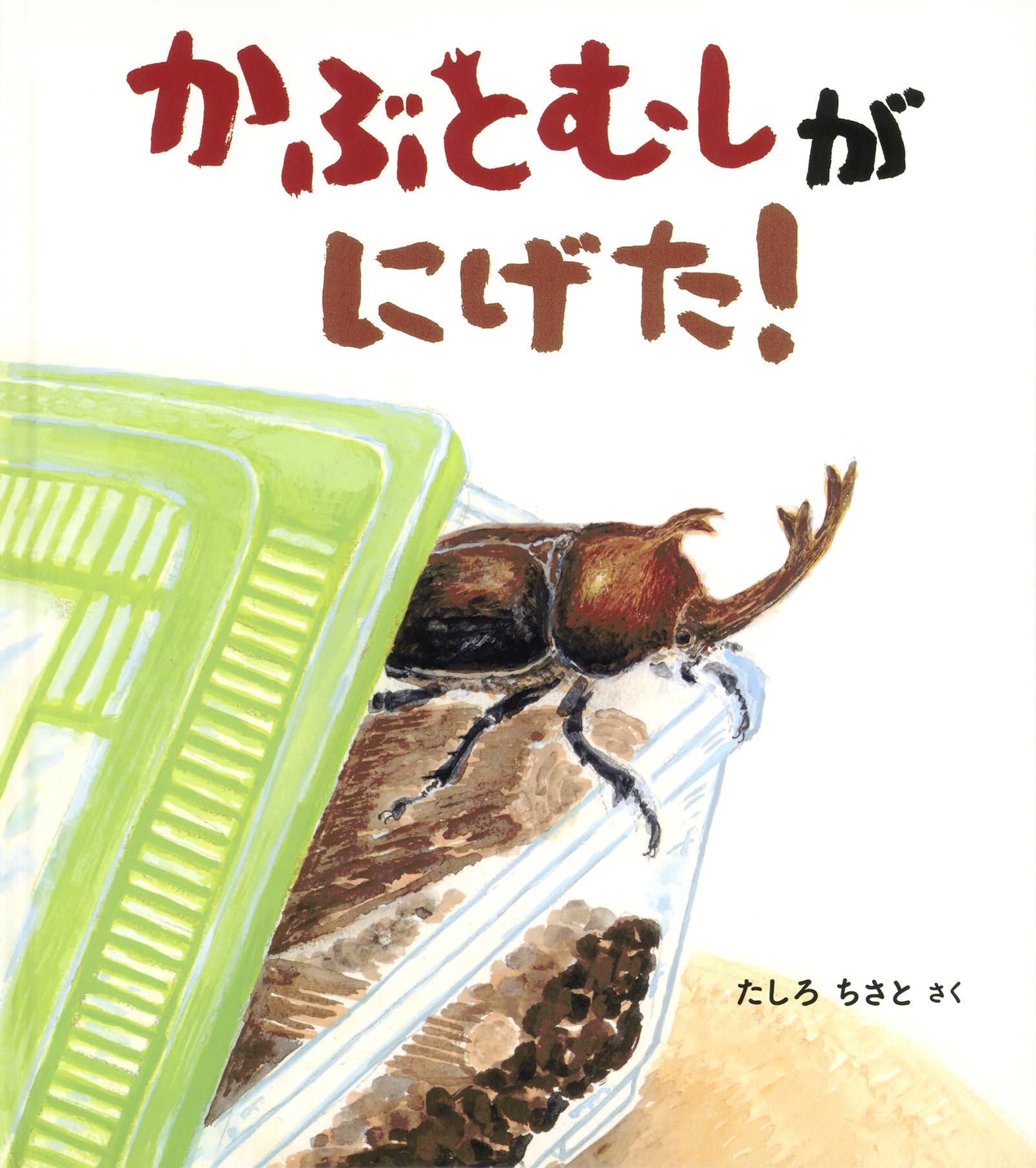 つかもんたさま　限定カブトムシ2本 Amazon.co.jp: かぶとむしが にげた！ (幼児絵本ふしぎなたねシリーズ