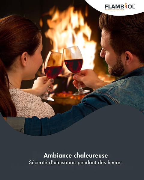 Höfer Chemie Bioéthanol 96,6% Premium 30 x 1 L - pour Cheminée de Table, Cheminée & déco de Jardin - sans Fumée ni suie - A Base de maïs & de Betteraves - 4