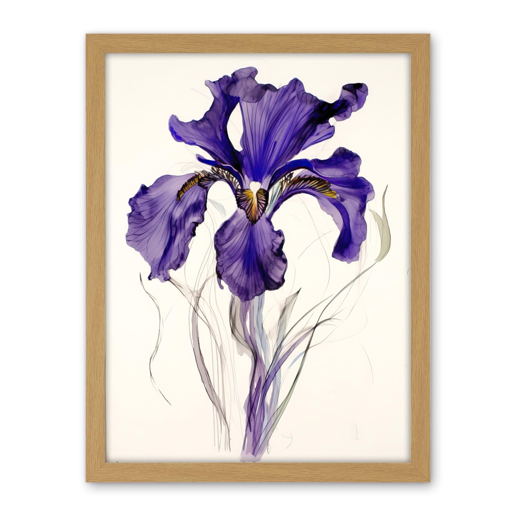Artery8 Iris Reticulata Watercolour Flower Bloom Drawing Artwork Framed Wall Art Print 18X24 Inch