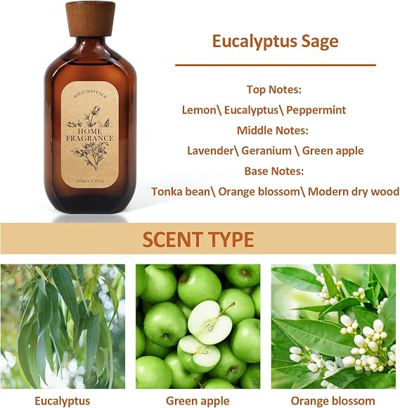 SCENTORINI Reed Diffuser 120ml Eucalyptus Sage Home Fragrance 6 Sticks