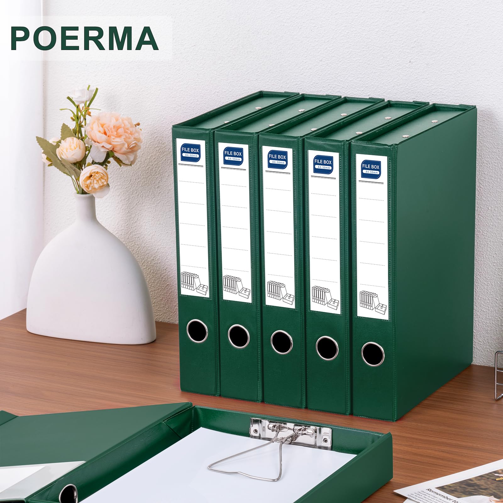 Scatola Archivio, 6 Pezzi Scatola Archivio con Coperchio, Formato A4, Dorso da 50 mm, Scatola per Documenti in plastica per ufficio, Scuole (Verde)