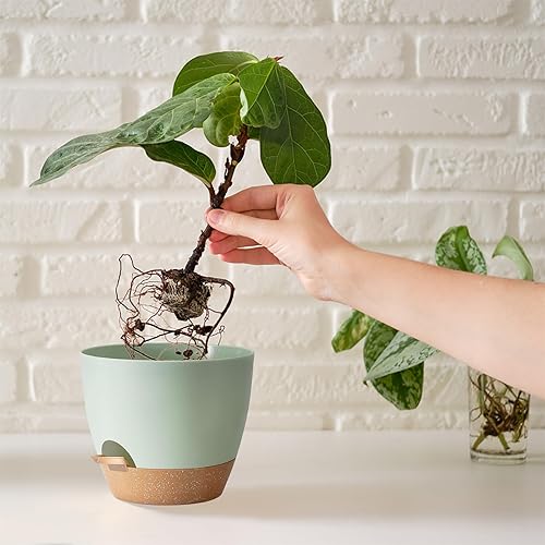 Miniatura 6 de SE SUN-E Macetas con agujeros de drenaje y platillos, maceta para todas las plantas de la casa, macetas de plástico verde con orificio de drenaje,