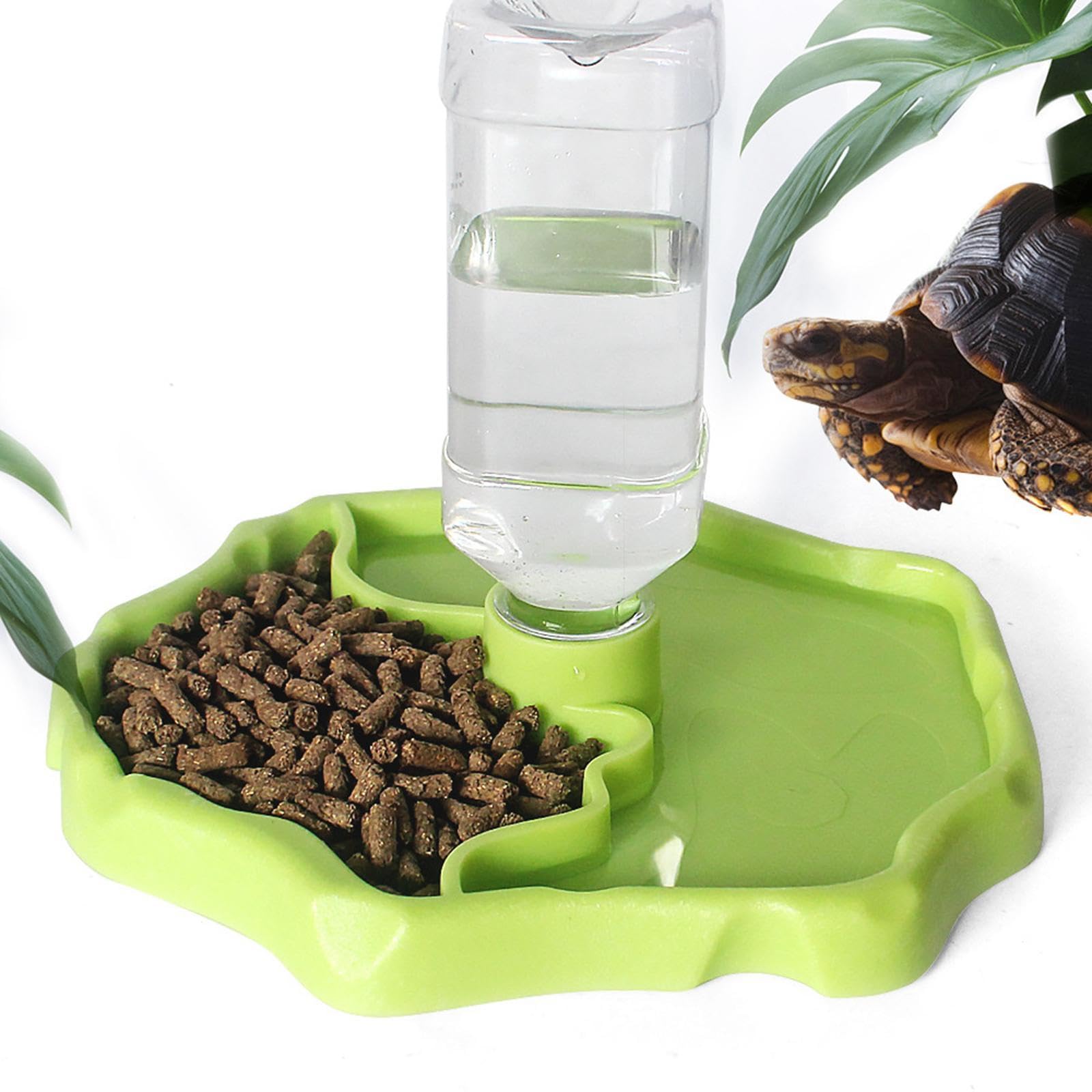 Sharplace Mangeoire pour Reptiles et Accessoires d'aquarium Conteneur Accessoire Polyvalent Mangeoire à Eau pour Reptiles Plat de Nourriture pour, Herbe Verte