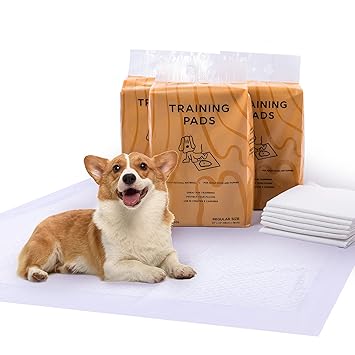 HAYDUN Puppy Pads, 5 Layers Super Absorbent Dog Training Pads Odor Control&Leakproof Pee Pads for Dogs Regular Size Pee Pads (24