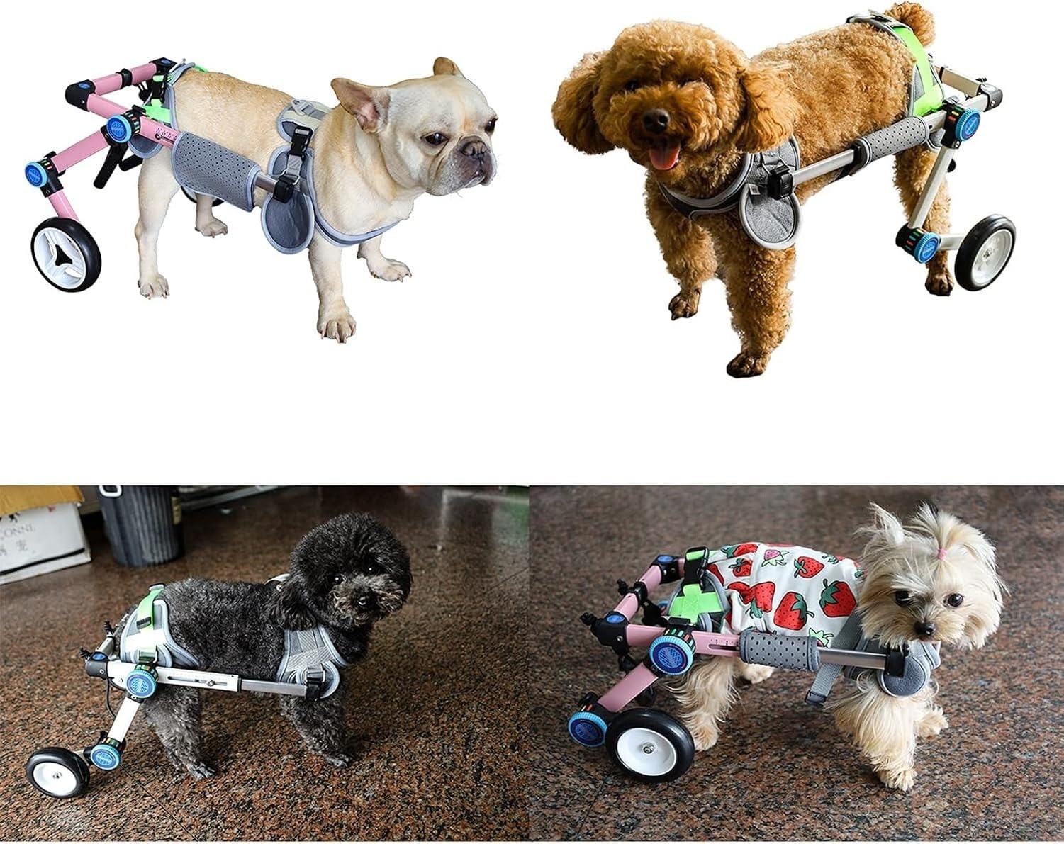Silla de Ruedas para Perro 2 Ruedas Plegable Ajustable Soporte Completo Mascota Carro Rehabilitacion Patas Traseras Perro Discapacitado Cachorro Facil Montaje T, White, XS widen for 8-12kg