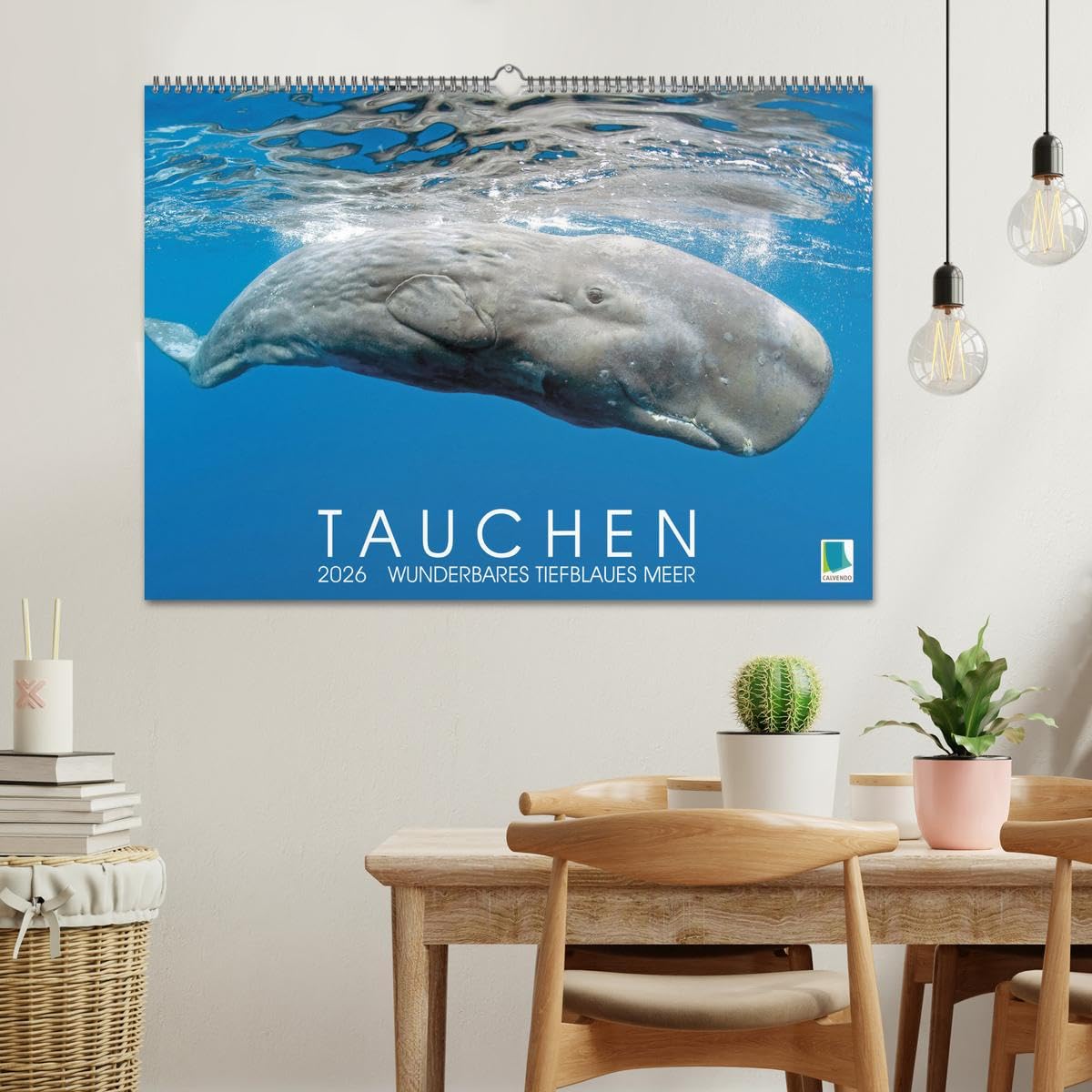 Tauchen: Wunderbares tiefblaues Meer (Wandkalender 2026 DIN A2 quer), CALVENDO Monatskalender: Großartige Unterwasseraufnahmen in der blauen Tiefe: Faszination Tauchen