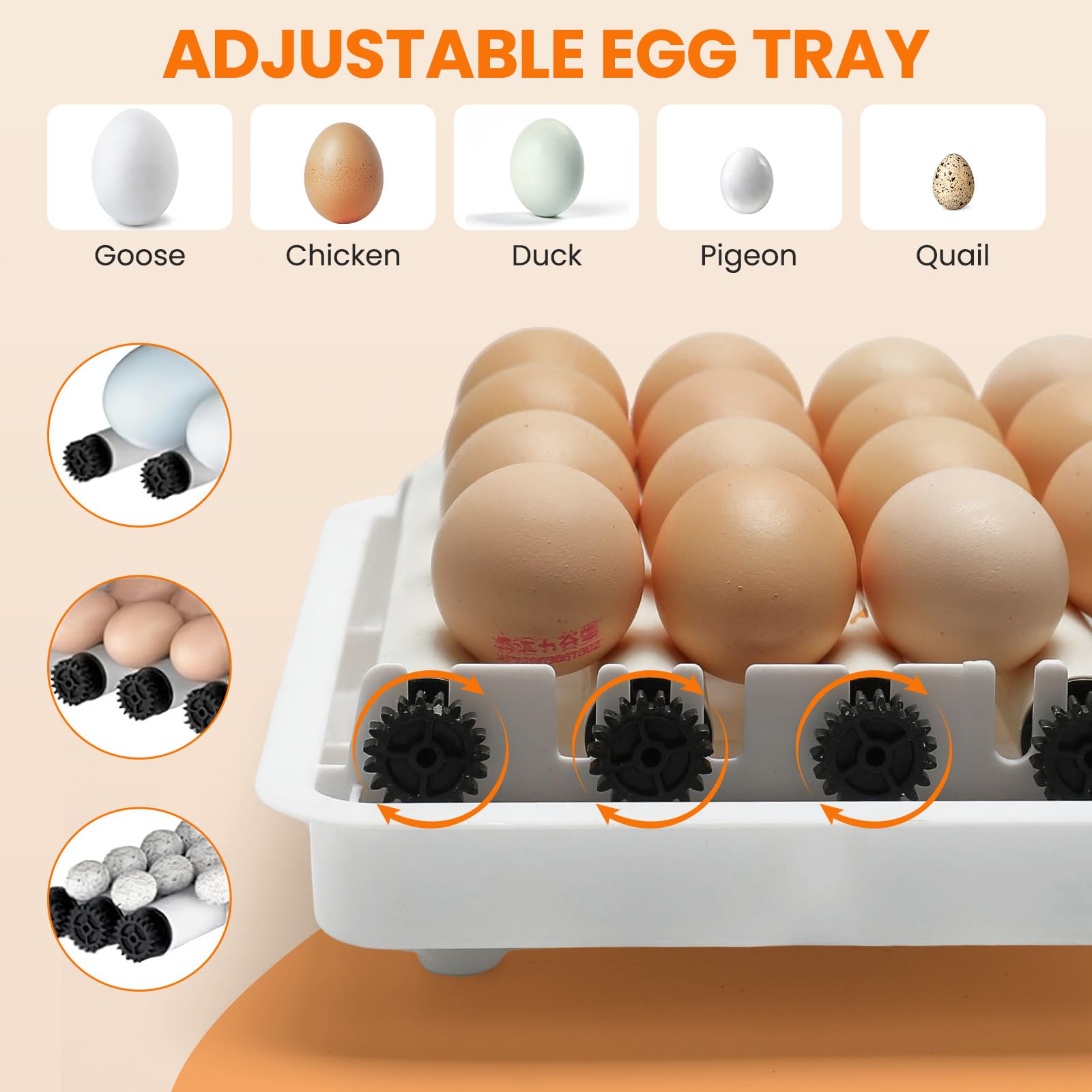 Incubadora totalmente automática, giro automático de 10 a 36 huevos, control de temperatura para incubadora, acceso automático de agua, indicador de humedad para pollos, patos, gansos y palomas (36