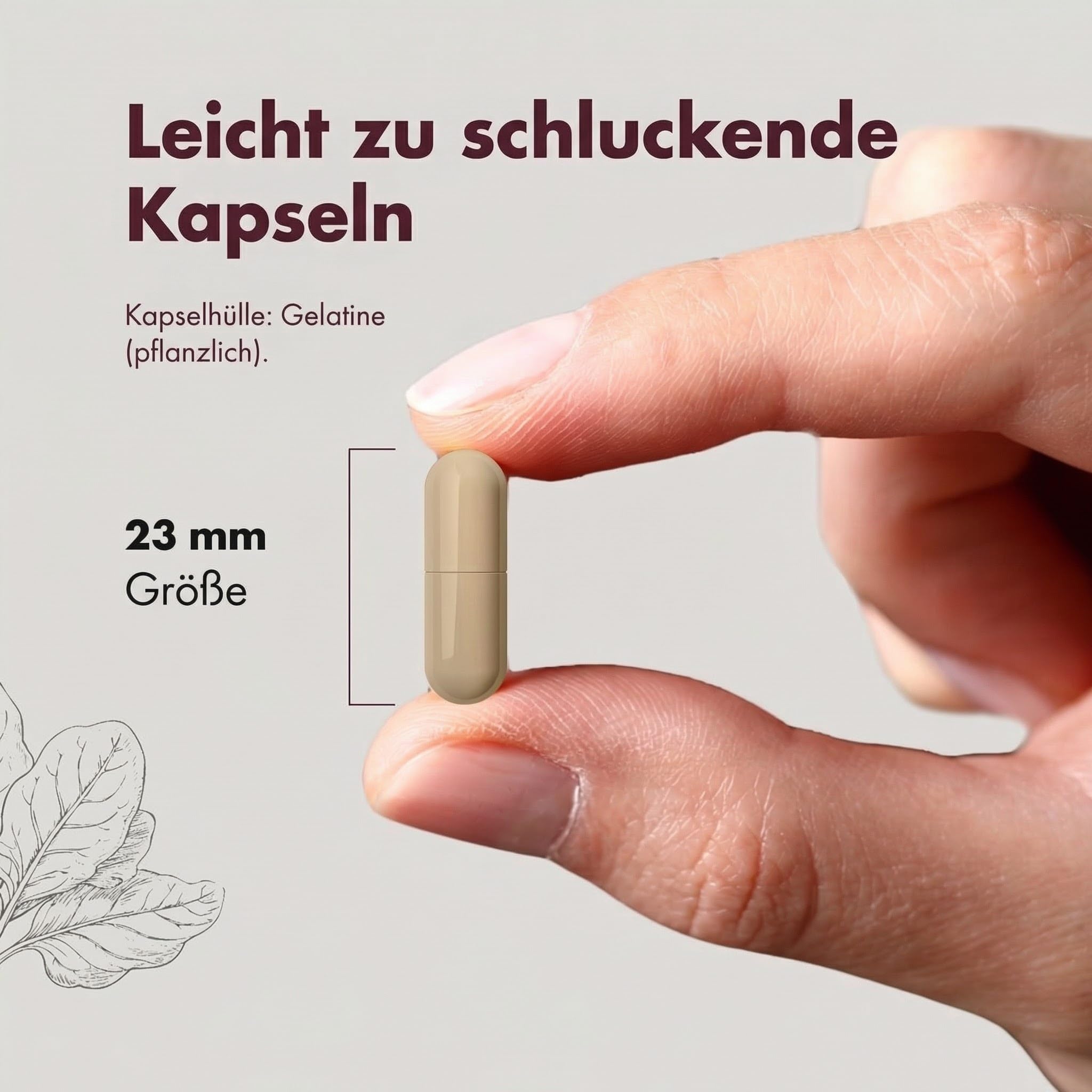 Granatum Plus - Spinatextrakt - 20-Hydroxyecdysone - Nahrungsergänzungsmittel - Stoffwechselwohlbefinden - Sportliche Leistung - Muskelmasseaufbau - 1 Box 60 Kapseln