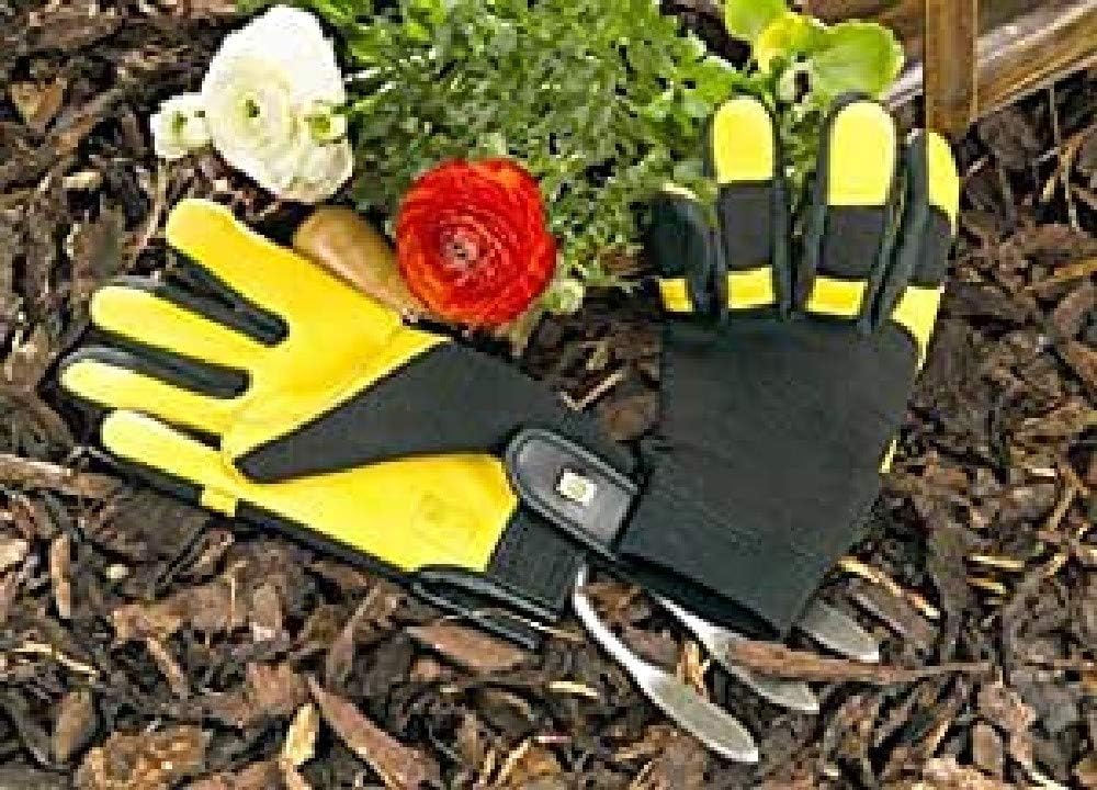 Gloves