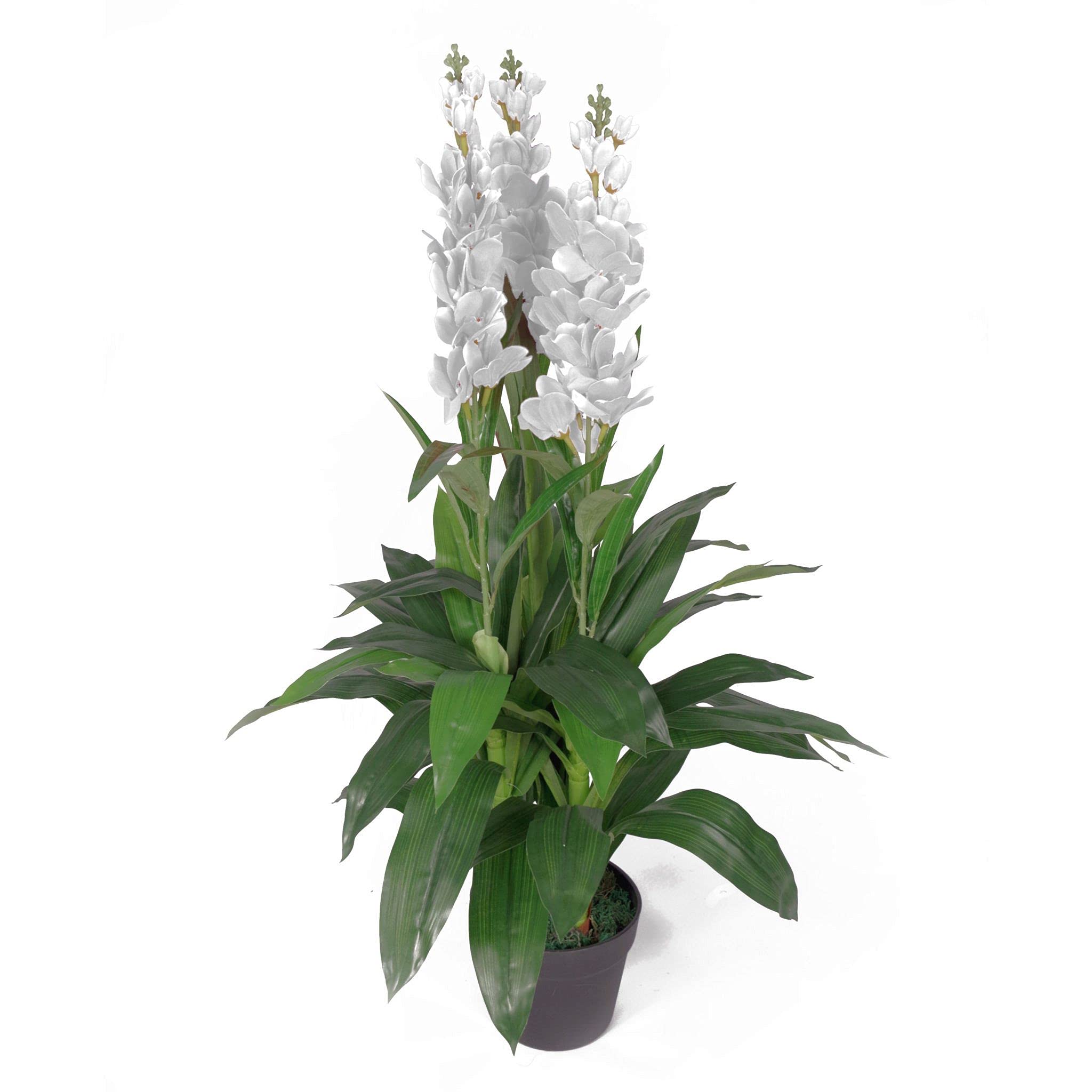 Blue Pirate White Artifical Orchid Plant 100Cm 100Cm Plants Flowers