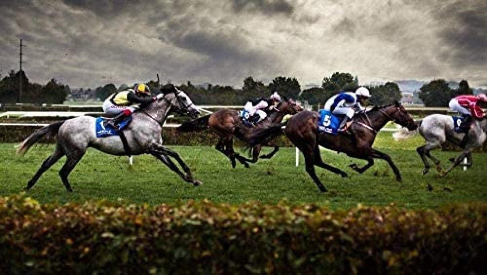 KESIMO Puzzle 1000 Piece Puzzles For Adults Sports/Horse Racing Papery Puzzle Leisure Toy Educational Intellectual Decompressing Game Home Decoration Art Gift 70x50cm