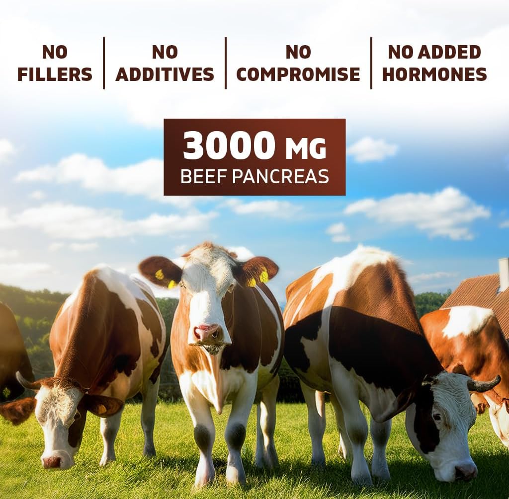 Vitamatic Grass-Fed Beef Pancreas 180 Capsules – Freeze-Dried, Non-GMO, Bovine Supplement – Pasture-Raised -Based Formula