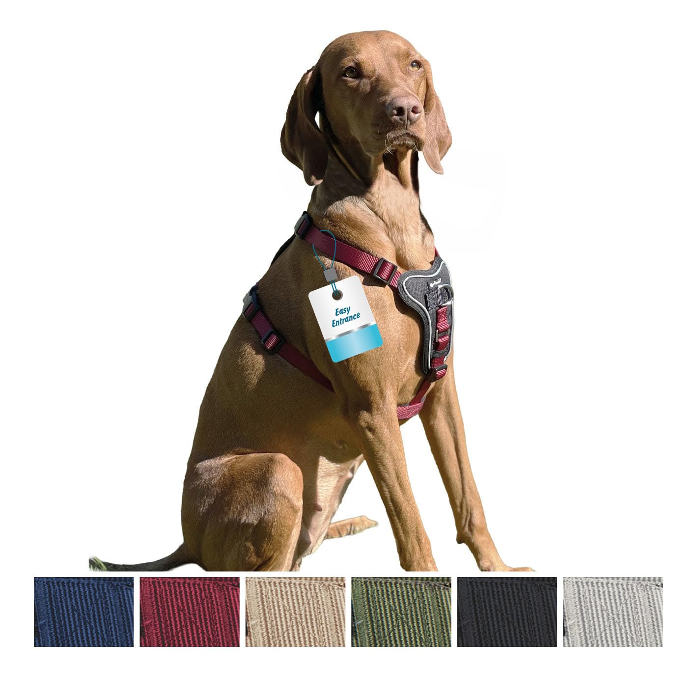 Petlando Hundegeschirr Anti Zug, Basic Comfort Plus, Schwarz, S | Vertikaler Brust-D-Ring, Ohne Über-Kopf-Ziehen, Stufenlos verstellbar, Gepolstert, Geschirr für kleine Hunde