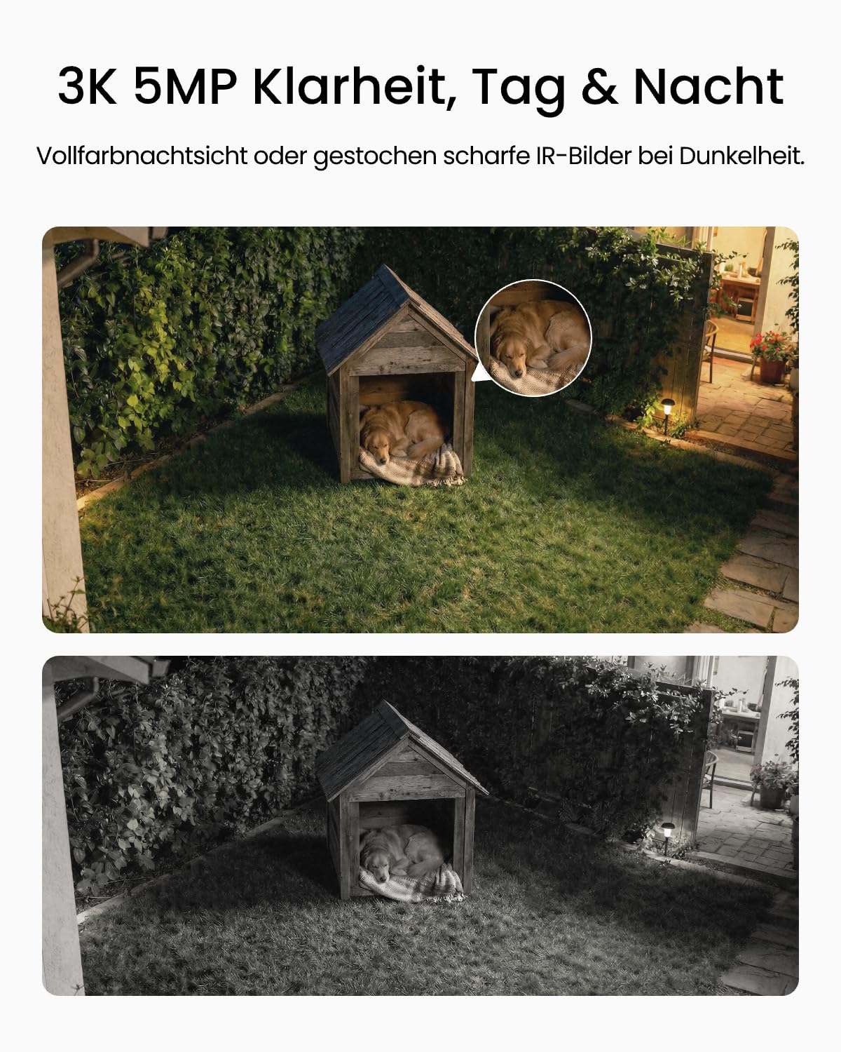 Reolink 3K 5MP Überwachungskamera Aussen Akku Set, Erweiterbar bis 1 TB | Kein Abo Nötig, KI Bewegungsberichte, Wi-Fi 6, Farb-Nachtsicht, IP67 Wetterfest, Hub Mini+2xArgus Solar