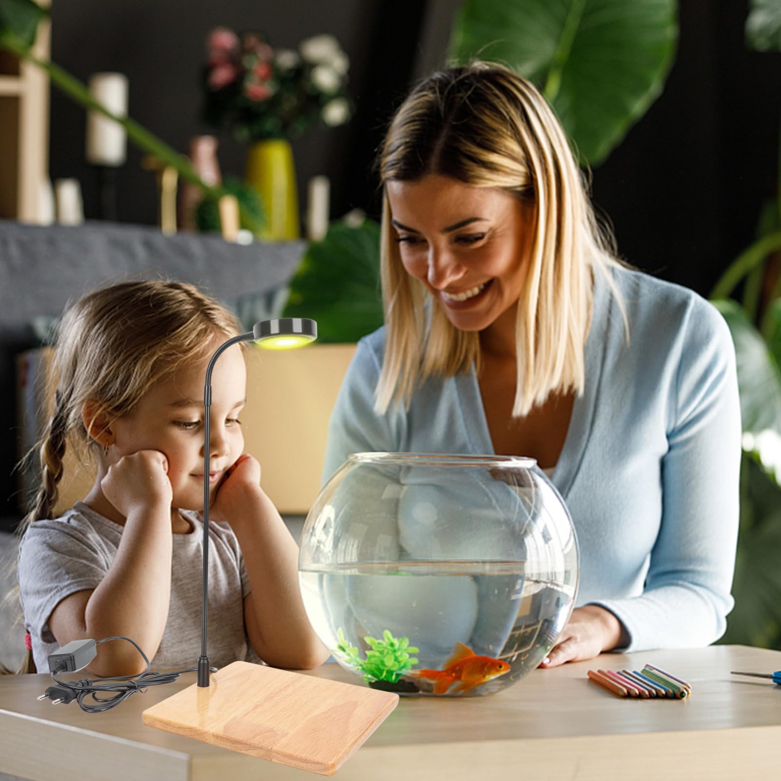 BESPORTBLE Luz Led Para Peceras Base De Madera Lámpara Acuario 3w Ideal Para Plantas Acuáticas