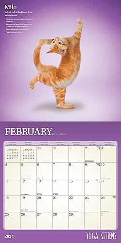 Miniatura 4 de Al - Auriculares de traducción de idiomas, clip gratuito 3 en 1, 144 idiomas en tiempo real, más de 100 calcomanías de calendario (regalos de