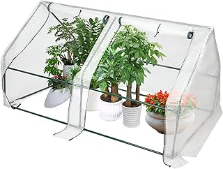 Gewächshaus Winterfest Wintergewächshäuser Frostsicher, Mobiles Foliengewächshaus Frühbeet mit Aufrollbaren Fenstern, Wetterbeständige Frühbeet für Tomaten gewächshaus Garten Balkon, Grün