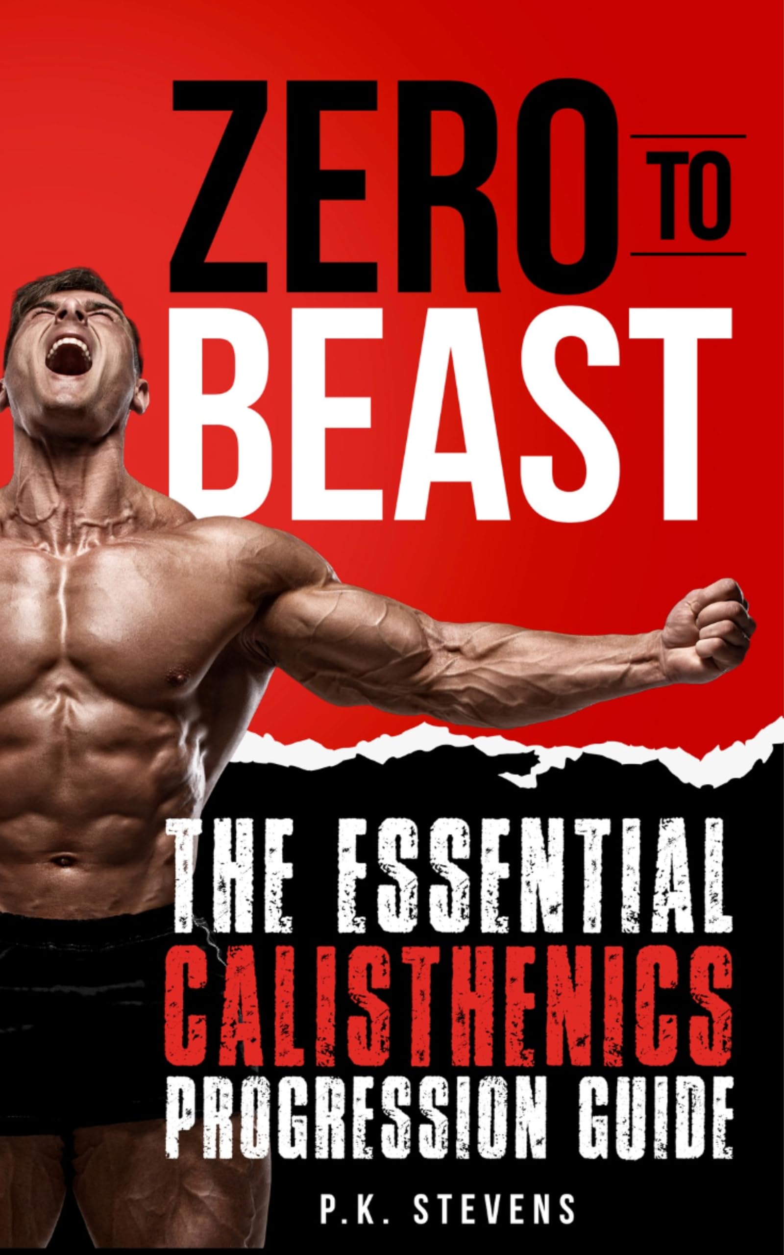 Zero to Beast : The Essential Calisthenics Progression Guide