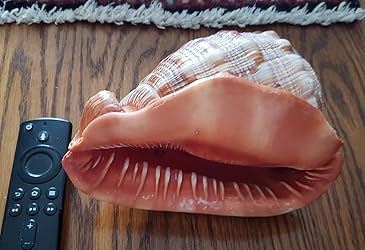 Amazon.com: PPCLION 6