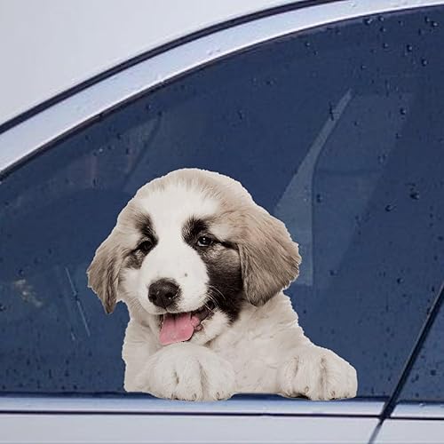 Miniatura 37 de Calcomanías de perro caniche, divertidas calcomanías de vinilo troqueladas para automóvil, laptop, parachoques Estilo-37