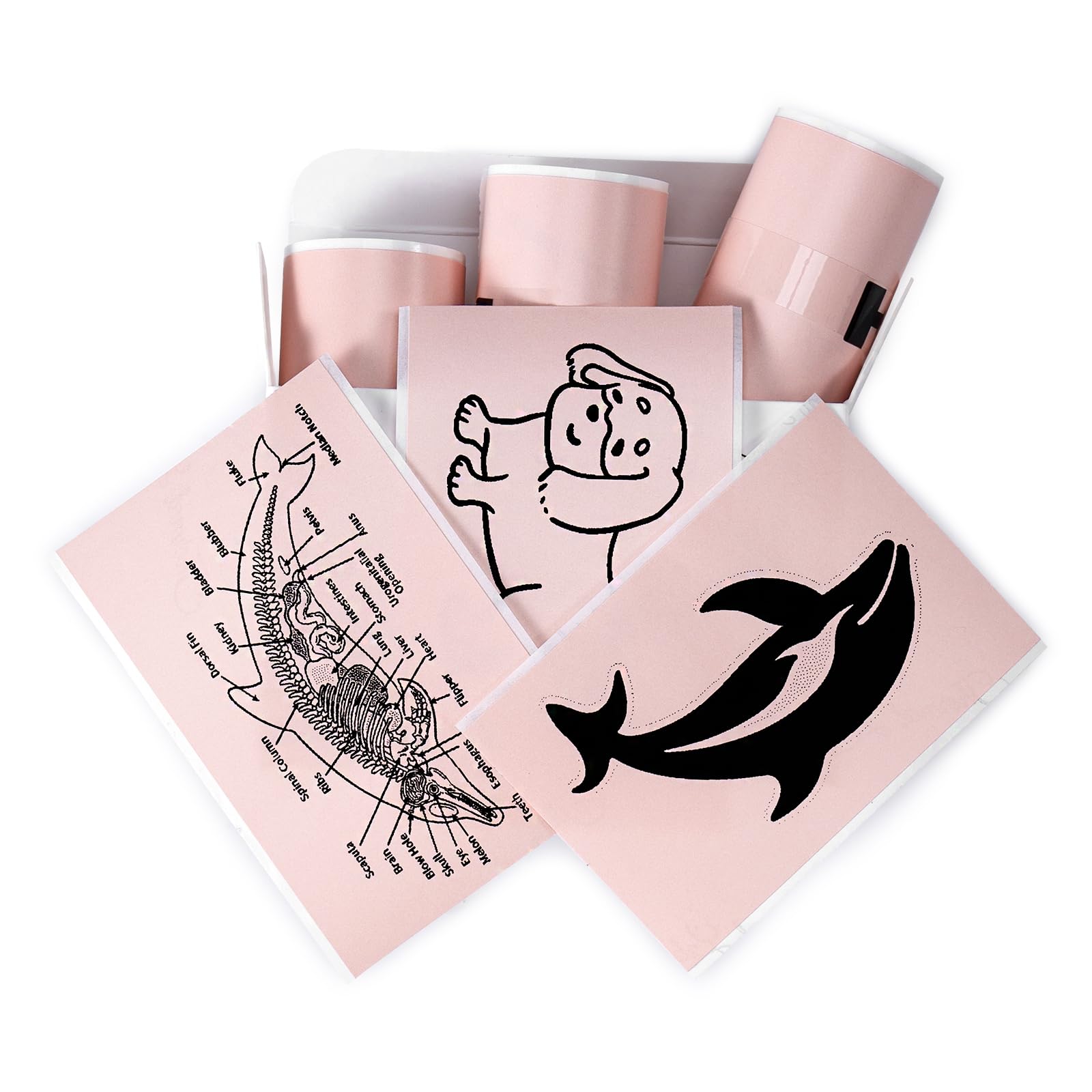 Memoking T02 / M02X / M02L Sticker Paper - Pink Sticky T02 Mini Printer Sticker Paper Refill, 50 mm x 3.5 m, Keep for 20 yrs, for Journal Photo Study Notes, 3 Rolls