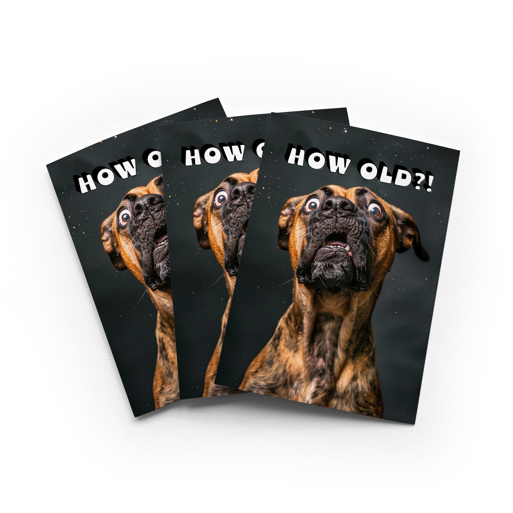 Funny Boxer Dog Birthday Card How Old Joke Set of 3 Greeting Cards Blank Inside 5x7 Inch 13x18 cm