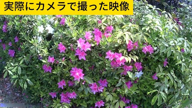 Amazon | LXMIMI ウェアラブルカメラ アクションカム 4K