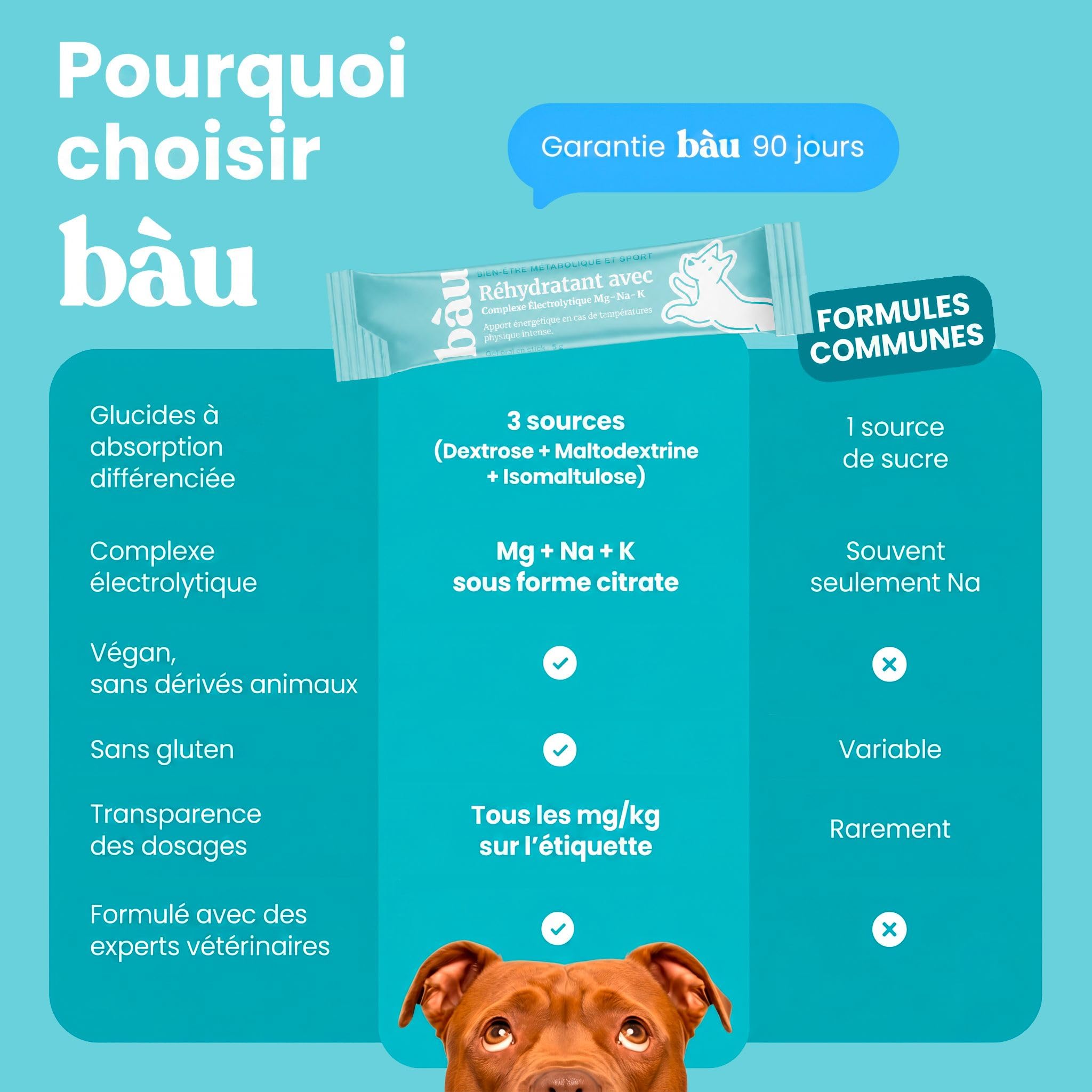 BAU Réhydratant Électrolytique pour Chiens Sportifs – Idéal par Temps Chaud – Gel Énergétique avec Magnésium, Sodium et Potassium – Soutien Pendant l’Activité – Sticks Unidose