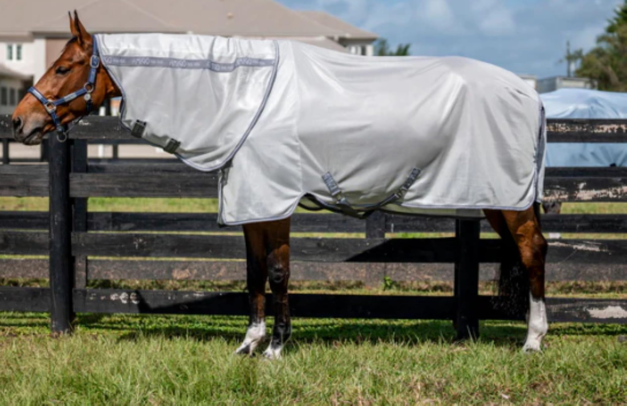 Amigo ® Integrated Fly Sheet
