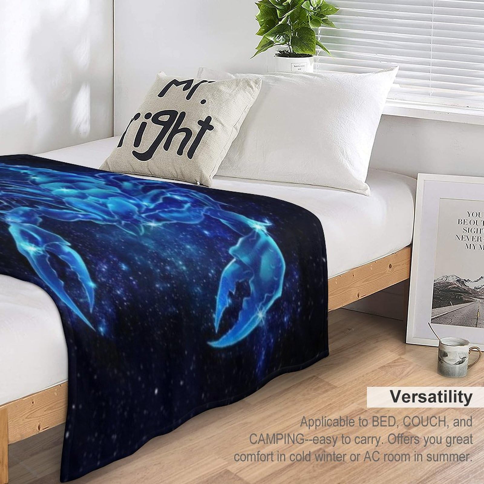 Skorpion Decke,Vier Jahreszeiten Weich Wohndecke Schlafdecke Sofadecke Pelzdecke Couchdecke Flannel Bett Decken （180×200cm）