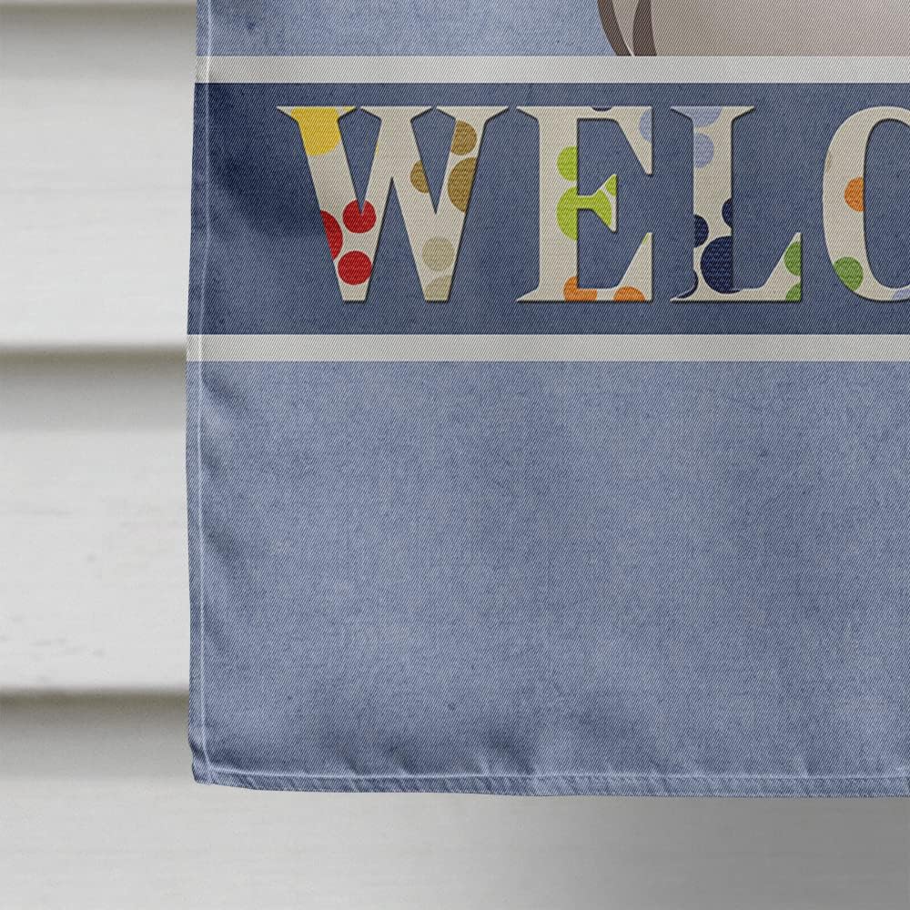 Caroline's Treasures BB1436CHF Gray Silver Shih Tzu Welcome House Flag, Blue Large Porch Sleeve Pole Decorative Outside Yard Banner Artwork Wall Hanging, Polyester, House Size, Multicolor