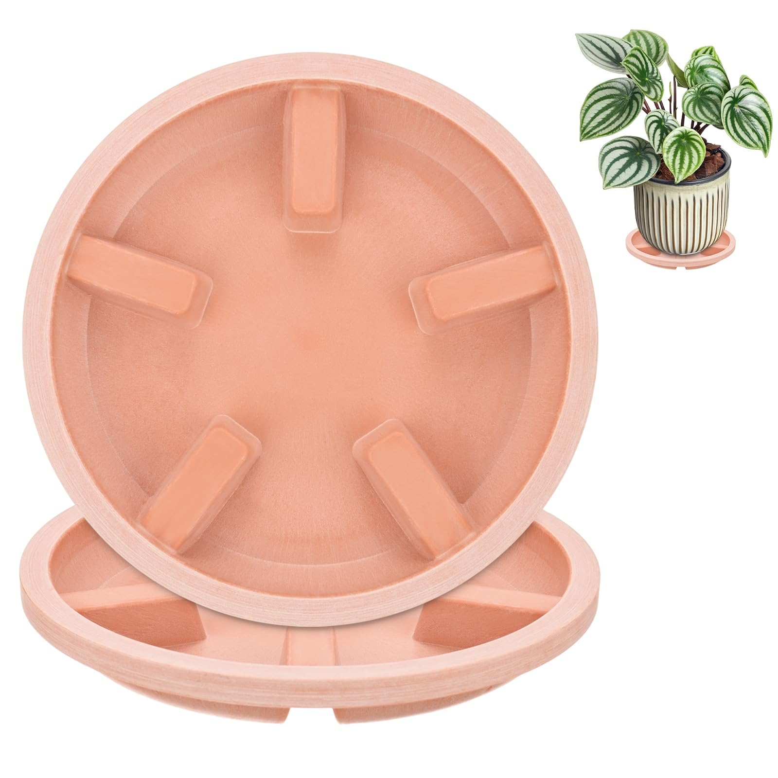 M METERXITY 2-Pack Plant Saucers 6 inch OD Anti-Rot Root Resin