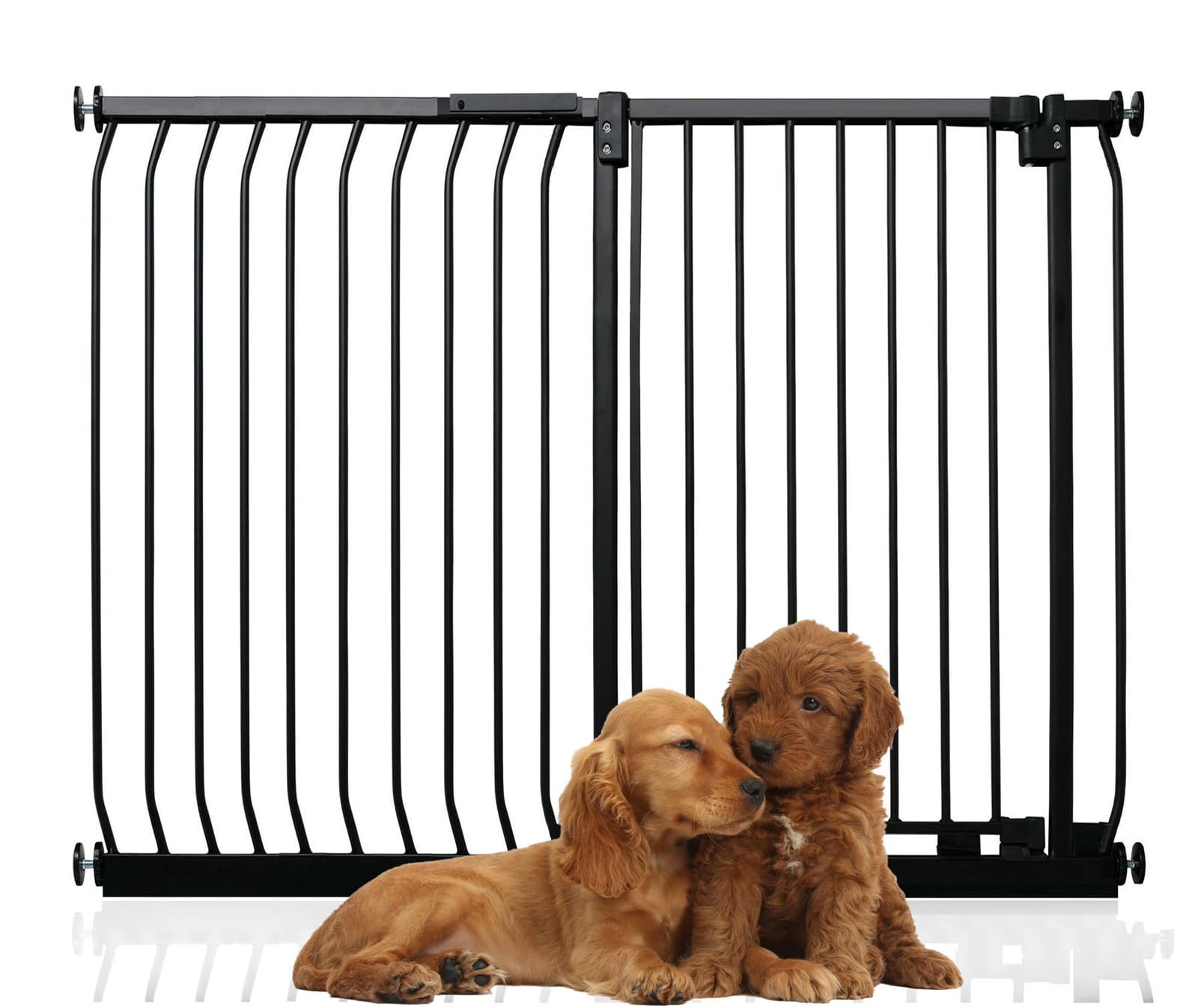 Bettacare Extra Tall Elite Dog Gate125Cm134CmMatt BlackExtra Tall 96.8Cm In HeightPressure Fit Pet Gate from B&Q