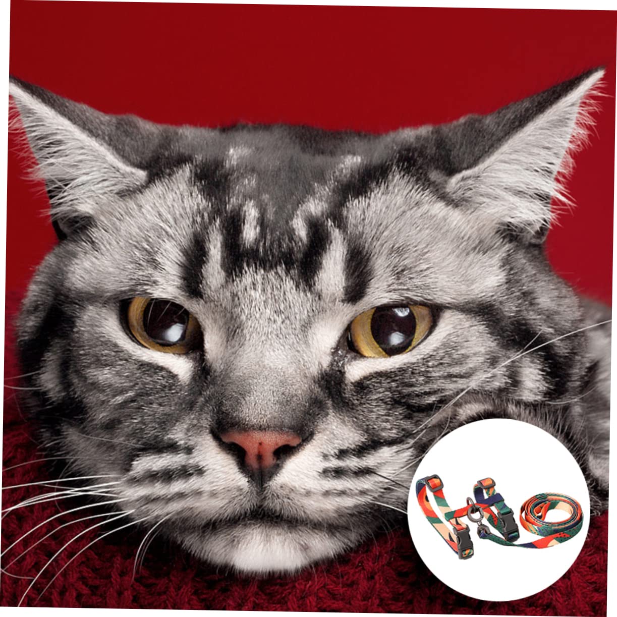 SUPVOX 3piezas Arnés De Cat Pulling Strap para Gato Correa De Paseo y Resistente Material Pom Diseño Antideslizante para Mascotas Pequeñas y Cómodo